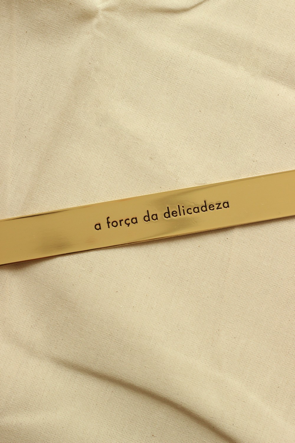 Foto do produto obra força da delicadeza