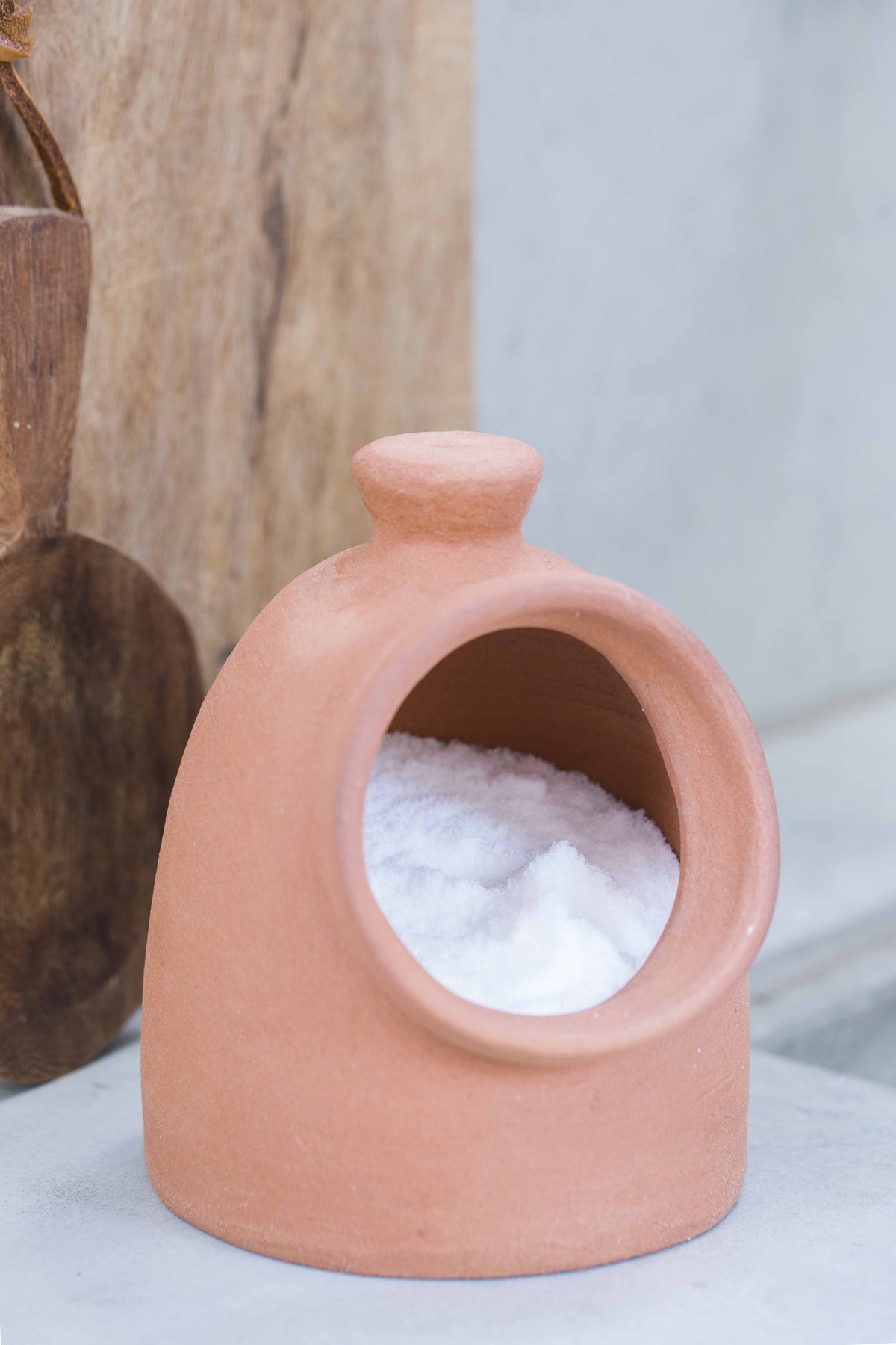 Foto do produto saleiro terracota