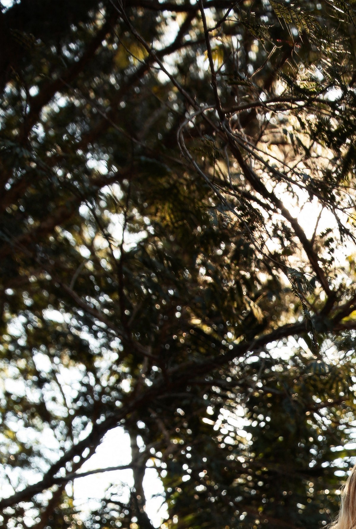 imagem shorts margarida preto 1