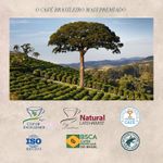 Café em Grãos Orfeu Intenso - 1Kg