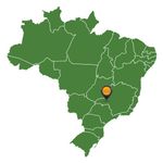 Café Vô Luiz - Café Premium em Grãos - 1kg