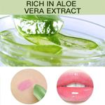 Batom de Aloe Vera