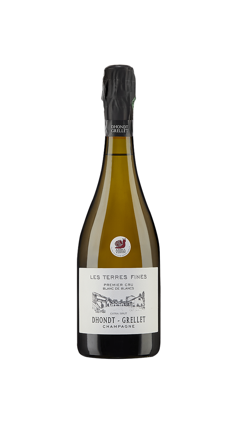 Champagne Extra Brut Les Terres Fines