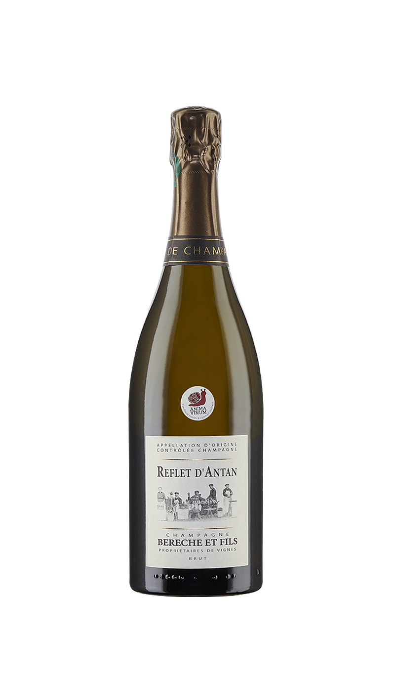 Champagne Brut Reflet D'Antan