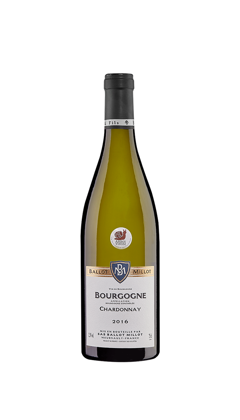 Vinho Branco Bourgogne Chardonnay