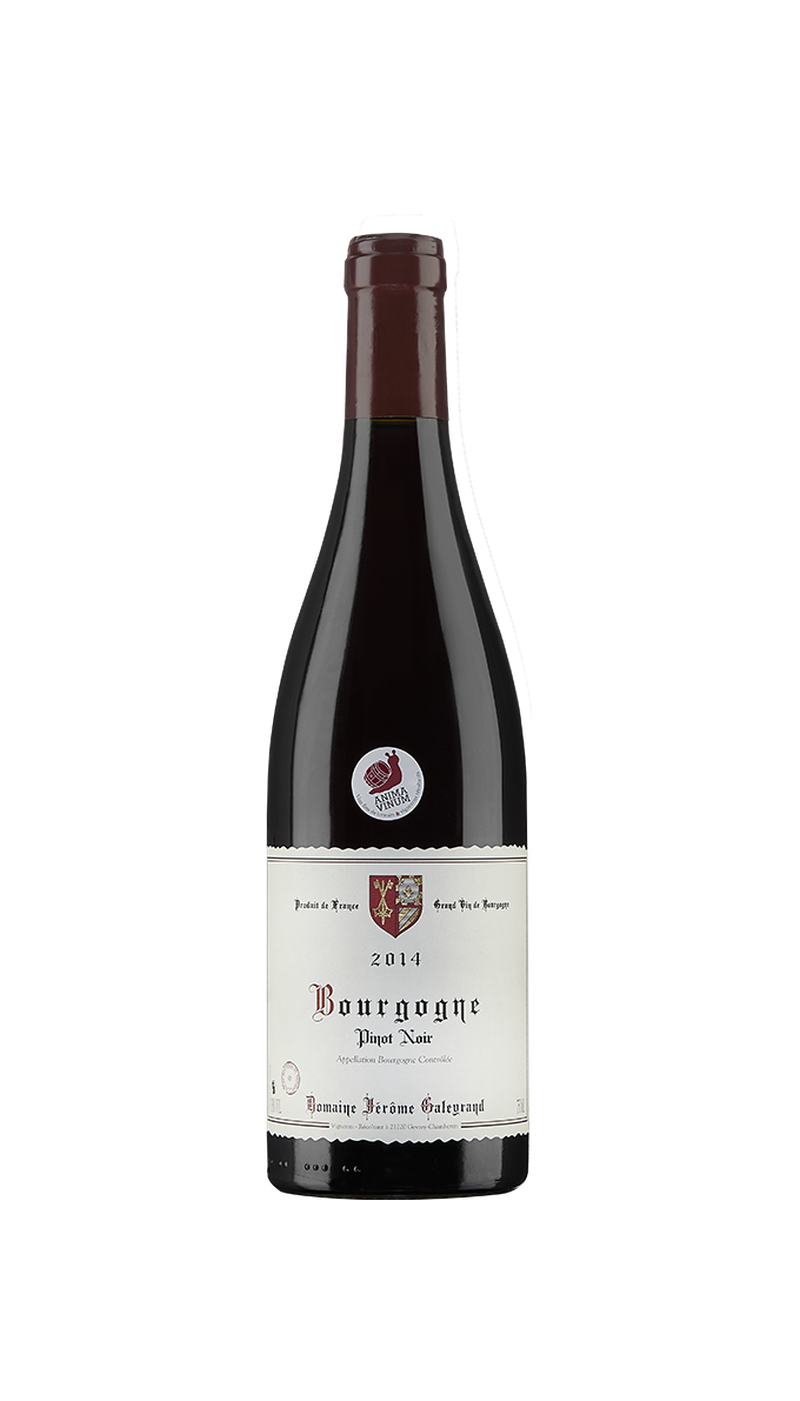 Vinho Tinto Bourgogne Pinot Noir Antonin