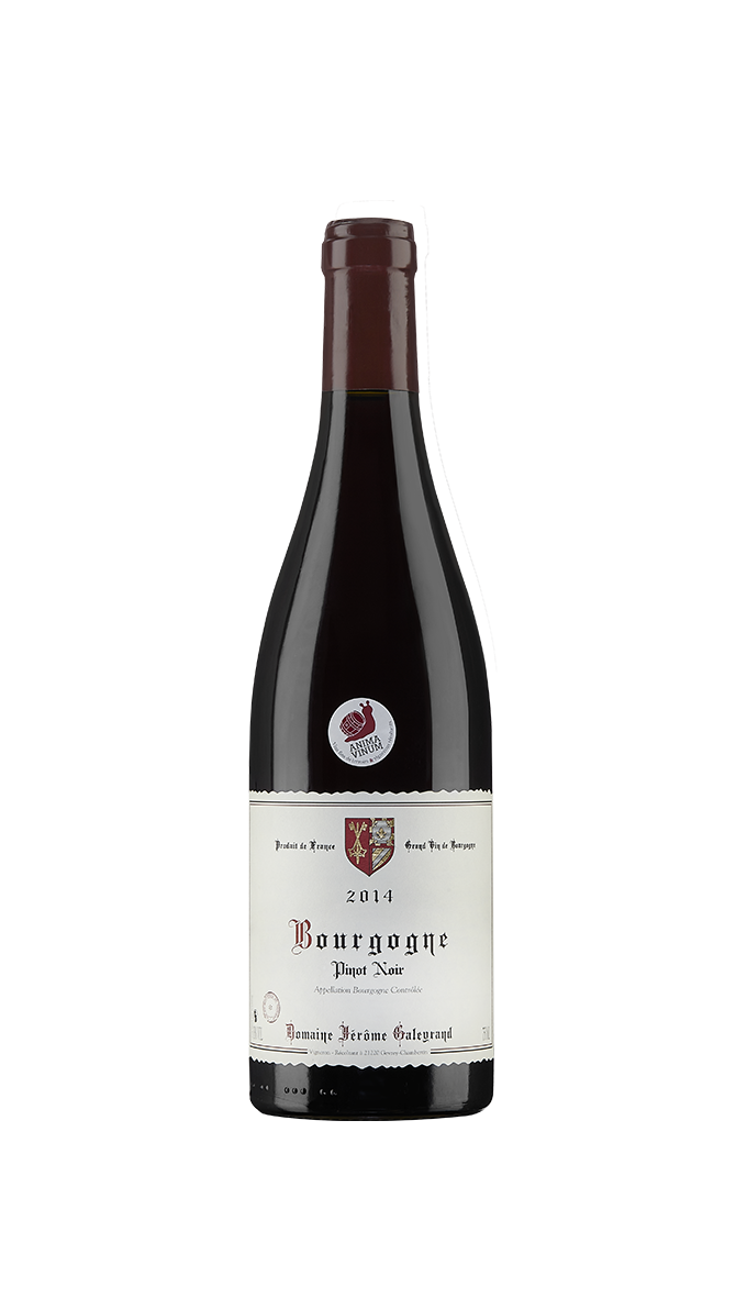 Vinho Tinto Bourgogne Pinot Noir Antonin