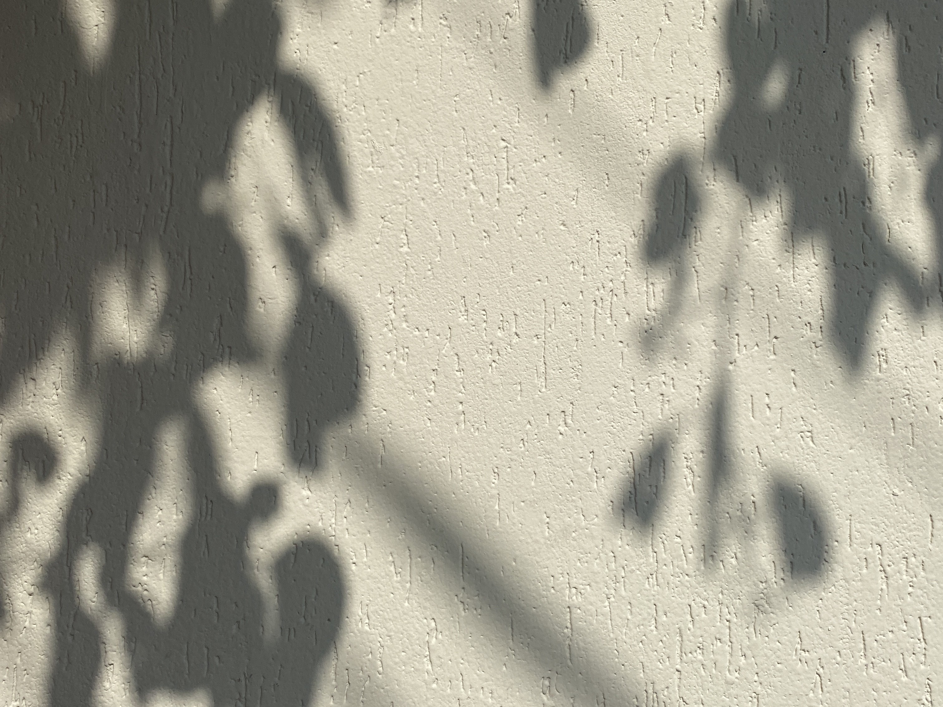 [Produto] Fundo da seção de depoimentos